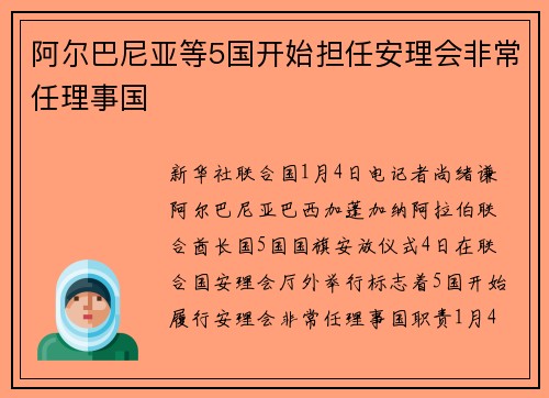 阿尔巴尼亚等5国开始担任安理会非常任理事国